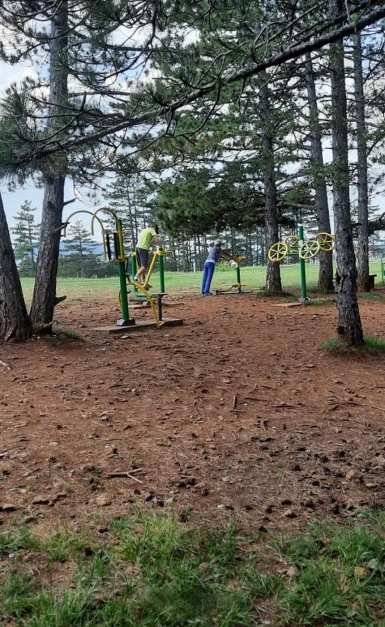 Zlatibor Apartman Jagoda المظهر الخارجي الصورة